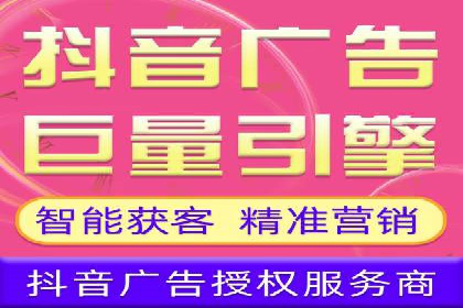 某公司信息流广告的精准投放与效果评估